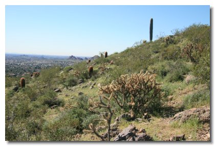 Arizona (3)
